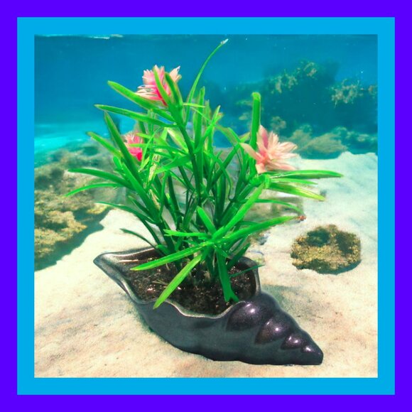 Aquarium Decoration -Teal Blue Long Shell with Flowering Plant. - Picture 1 of 8